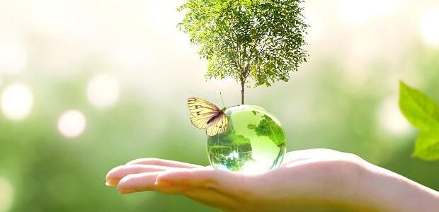  UN rights body: Right to clean environment is a human right