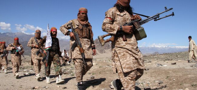 ‘Terrorist groups’ enjoy freedom in Afghanistan: UN Experts