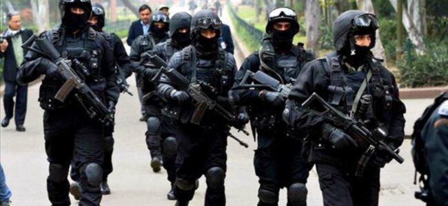NSG deployed to provide counter-drone protection to Srinagar, Jammu IAF bases: DG