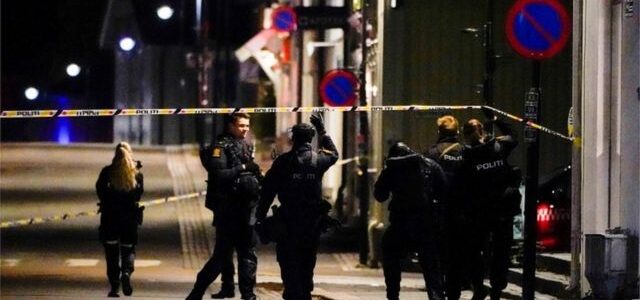 Assailant kills several people with bow and arrows in Norway