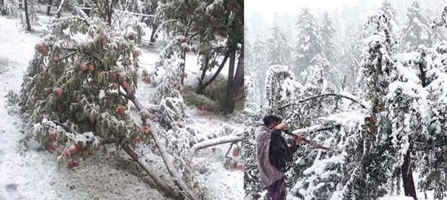 JK declares Oct 23-24 rain, snowfall ‘state specific natural disaster’