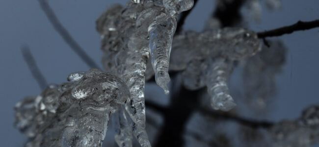 Cold conditions intensify in Kashmir amid clear sky; Pahalgam shivers at minus 10.4 deg C