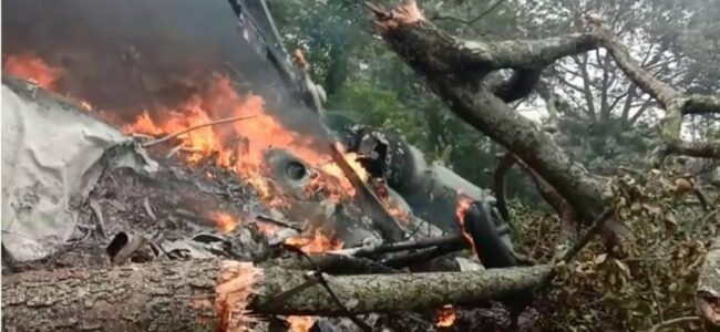 Court of Inquiry on chopper crash will be thorough process, will take few weeks: IAF Chief