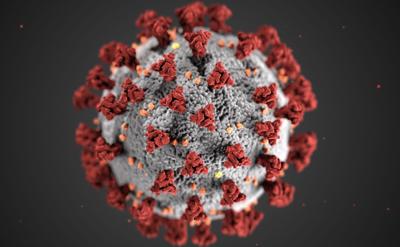 Defeating the human metapneumovirus?