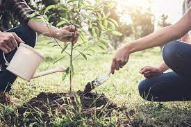 J&K Govt sanctions Rs 62 cr project for Commercial Cultivation, Conservation of UTs’ Herbal Riches