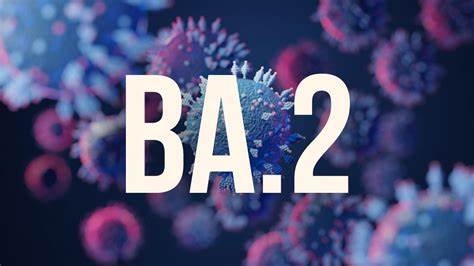 BA.2 is like Omicron’s sister. Here’s what we know about it so far