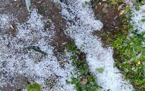 Hailstorm wreaks havoc in orchards, crops in north Kashmir