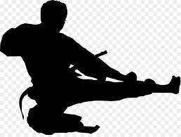 5th national sports Kempo championship