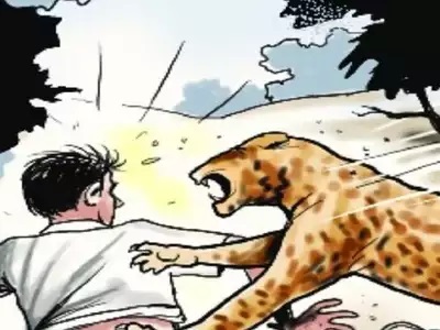 Over 15,000 human-wildlife conflict cases in 2 years, no major spike: Govt