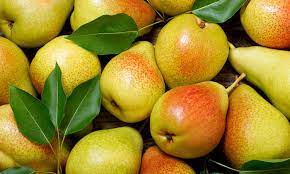 From Rs 20K to Rs 25L per year: Incredible journey of elderly fruit grower in Bhaderwah From Rs 20K to Rs 25L per year: Incredible journey of elderly fruit grower in Bhaderwah