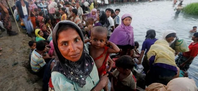 India among top 3 host countries of international migrants, refugees and asylum seekers: UN