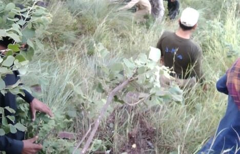 Mother-son duo killed, two other family members injured in Reasi road mishap  