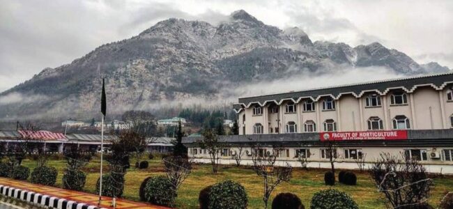 Fake pesticides polluting air, adding to rise in Cancer cases in Kashmir: SKUAST-K VC