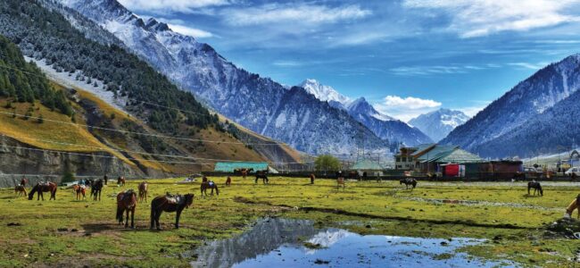 ‘Border Tourism Festival adds flavour to beauty of Teetwal’