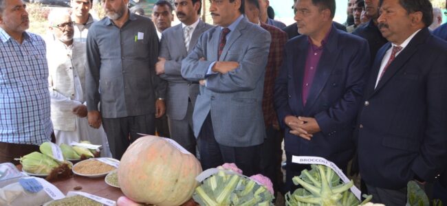 CS reviews developmental works in District Budgam CS reviews developmental works in District Budgam