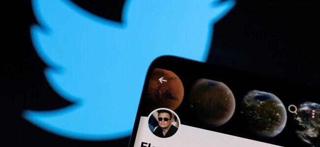 Elon Musk asks Twitter users to vote on whether he should stay as boss