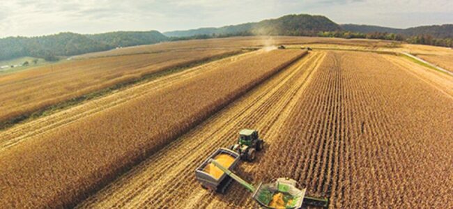 Apex committee suggests holistic development of Agriculture, allied sectors in JK