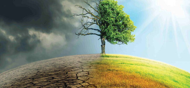 Climate disasters killed 80,000, hit 1.3 billion in India since 1995: Report