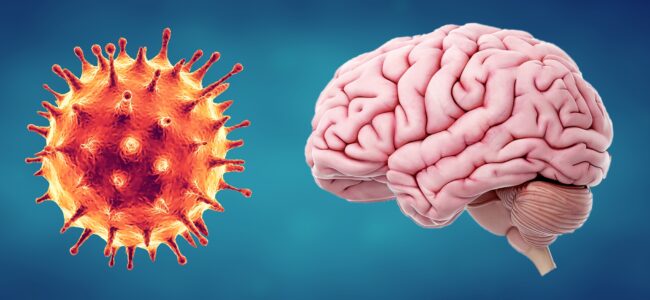 Long Covid associated with reduced brain oxygen levels, cognitive impairment: Study