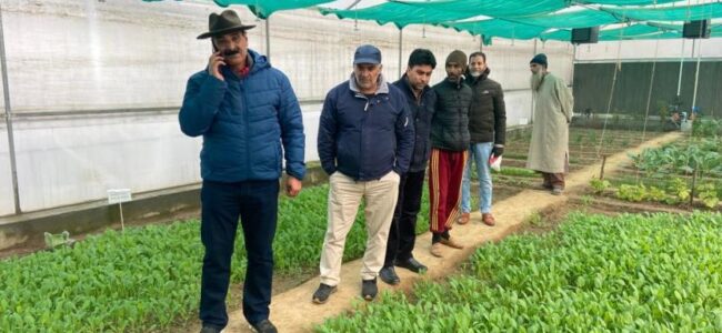 Director Agriculture Kashmir inspects Kitchen Garden at Lalmandi Director Agriculture Kashmir inspects Kitchen Garden at Lalmandi