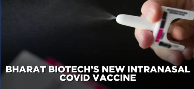 Bharat Biotech’s intranasal COVID-19 vaccine to cost Rs 800 for private markets Bharat Biotech’s intranasal COVID-19 vaccine to cost Rs 800 for private markets