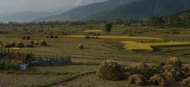 Admin approves project worth 463 Cr to empower farmers Admin approves project worth 463 Cr to empower farmers