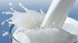 FDA conducts special Enforcement Drive on Milk & Milk Products across all districts FDA conducts special Enforcement Drive on Milk & Milk Products across all districts