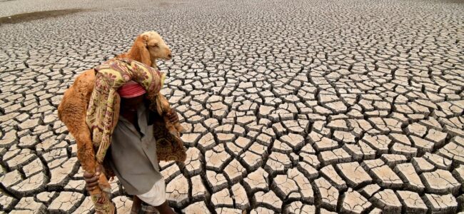 El Nino expected to return, likely to fuel spike in global temperatures: WMO