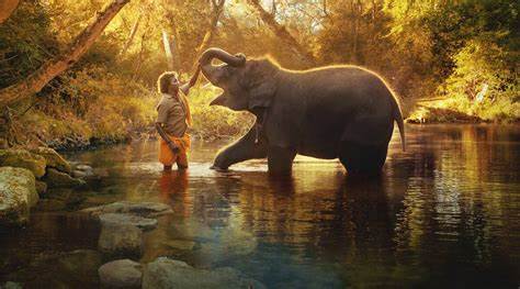 ‘The Elephant Whisperers’ triumphs at Oscars 2023, director dedicates award to ‘motherland India’ ‘The Elephant Whisperers’ triumphs at Oscars 2023, director dedicates award to ‘motherland India’