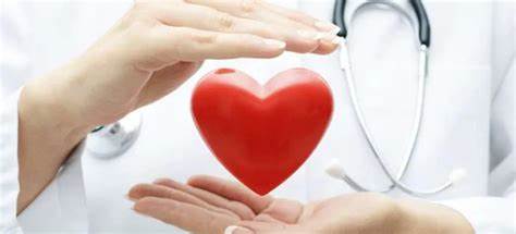 Study opens up possibility of using magnets to treat cardiovascular diseases Study opens up possibility of using magnets to treat cardiovascular diseases