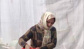 Budgam woman emerging as role model for women entrepreneurs Budgam woman emerging as role model for women entrepreneurs