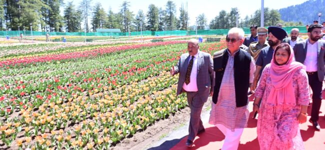 Lt Governor inaugurates Tulip Garden at Sanasar Lt Governor inaugurates Tulip Garden at Sanasar