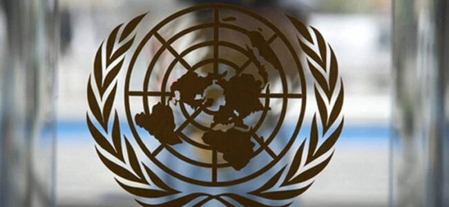 India remains a bright spot, says UN