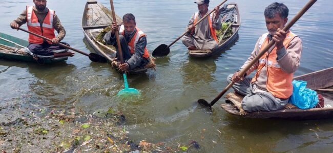 Large-scale fish deaths in Dal Lake raise alarm among residents