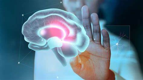 Understanding Brain Tumors