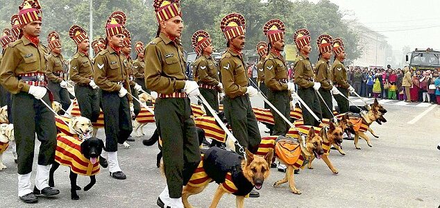 Canine experts seek end to practice of using police dogs for VIP events