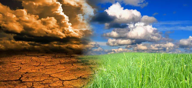 Human-caused climate change may lead to 1 billion premature deaths over next century: Study