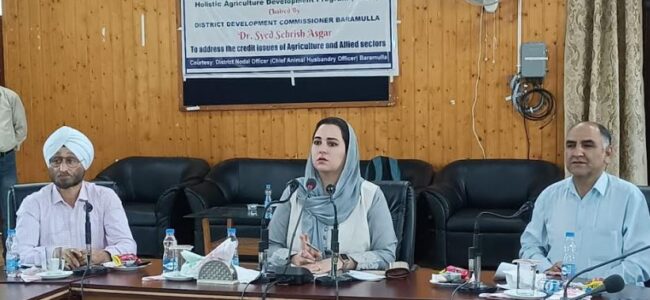 Ensure timely handover of completed sub projects to user Departments: CEO ERA Ensure timely handover of completed sub projects to user Departments: CEO ERA