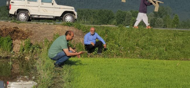Union Ministry for Ayush approves 100 School Herbal Gardens for Jammu Division