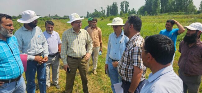 Director Horticulture Kashmir visits ACHD Zainapora, Shopian