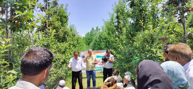 Apple Leaf Blotch Miner Pest: Director Horticulture chairs meeting for efficiently managing infestation Apple Leaf Blotch Miner Pest: Director Horticulture chairs meeting for efficiently managing infestation