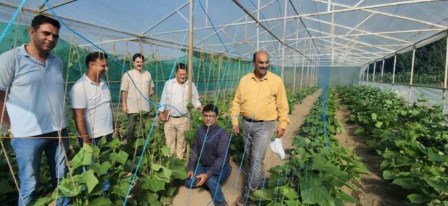 Director Agriculture Kashmir visits Maloora Srinagar