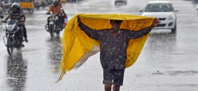 India sees normal monsoon rainfall; some states drenched, others parched