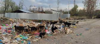 Dumping along circular road in Pulwama irks locals, commuters
