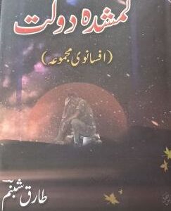 Book review of ‘Gumshuda Daulat’ by Tariq Shabnam