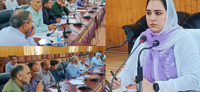 DC B’la reviews progress of works under District Capex Budget DC B’la reviews progress of works under District Capex Budget