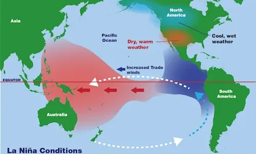 El Nino, La Nina impact on monsoon strongest in north, least in central India: Study El Nino, La Nina impact on monsoon strongest in north, least in central India: Study