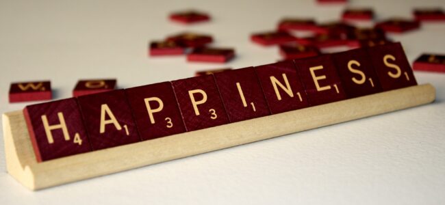 The concept of happiness