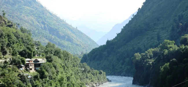 Karnah’s prized forest cover
