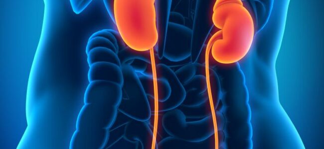 Global study estimates India had second highest chronic kidney disease cases in 2023